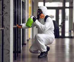 Mold Removal for HVAC Installations in Millersburg, OR